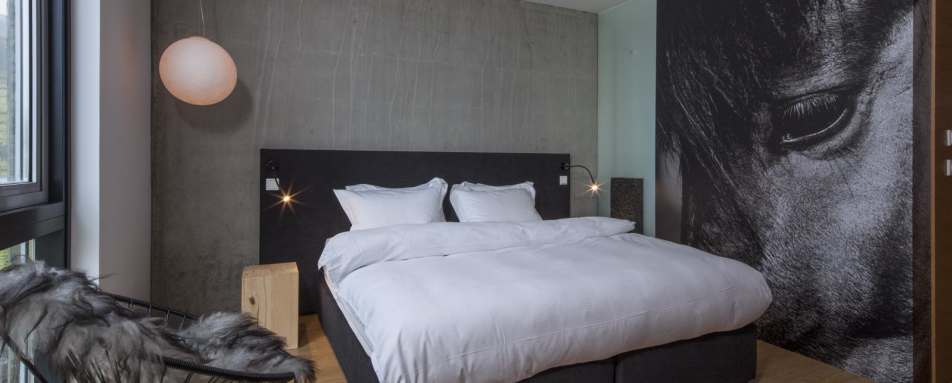 Deluxe bedroom - Hotel Ion