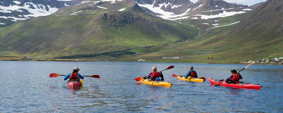 Sea kayaking - Ultimate Iceland