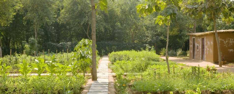 Organic Garden - Aman-i-Khas