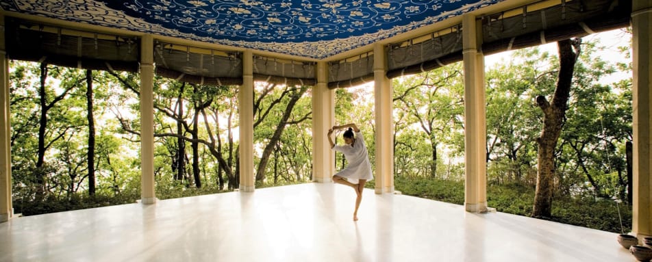 Yoga Space - Ananda in the Himalayas  