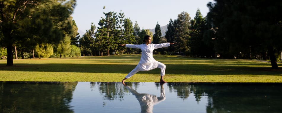 Yoga - Ananda in the Himalayas 