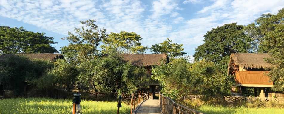 Bamboo Walkway  - Diphlu River Lodge