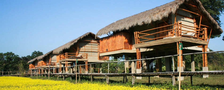 Cottages on stilts - Diphlu River Lodge