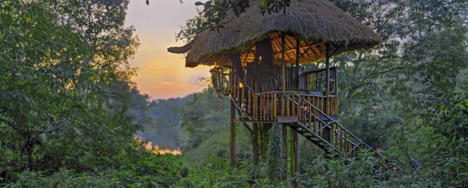 Treehouse - Evolve Back Chikkana Halli Estate