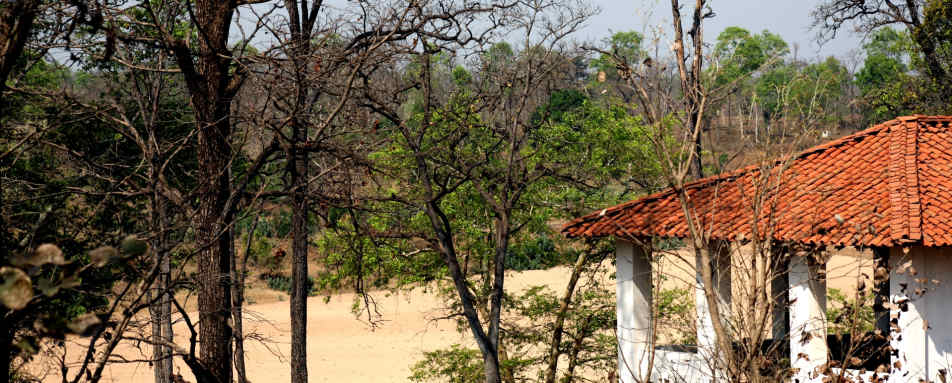 Yoga Shala - Flame of the Forest