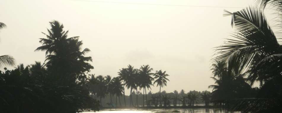 Backwaters - Houseboat