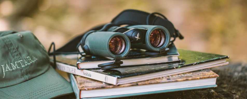 Wild Experience - Jamtara Wilderness Camp