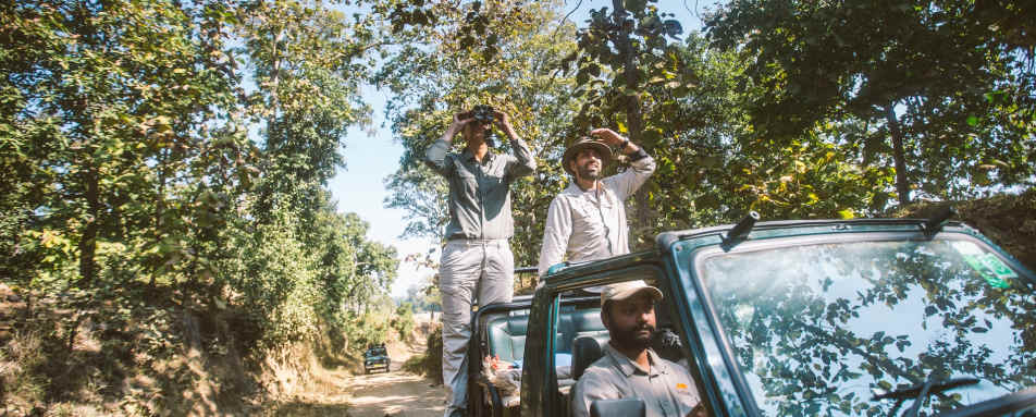 Expert Guiding - Jamtara Wilderness Camp