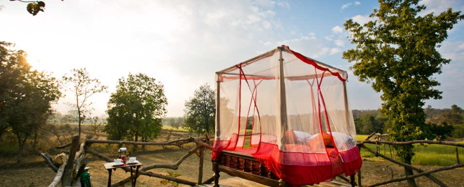 Starbed - Jamtara Wilderness Camp