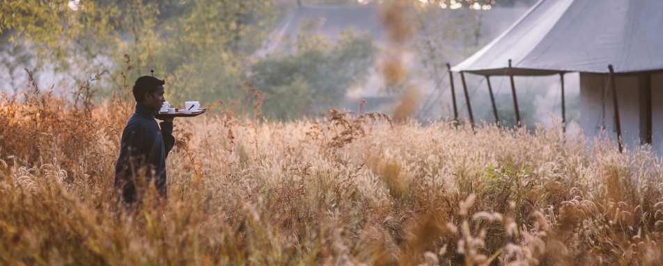 Excellent Service - Jamtara Wilderness Camp