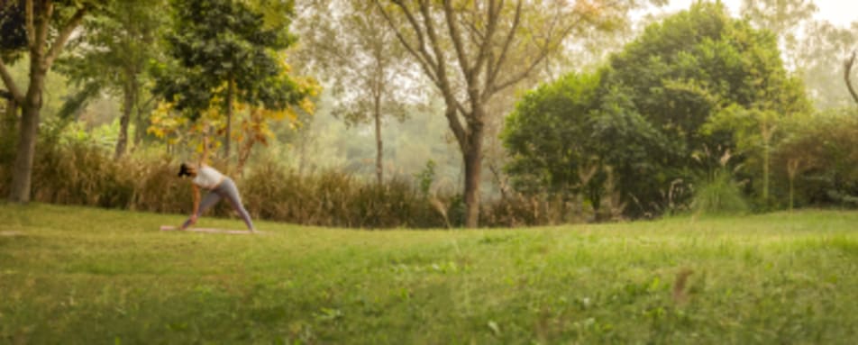 Yoga - Jehan Numa Retreat 