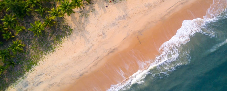 Aerial Shot - Marari Beach 
