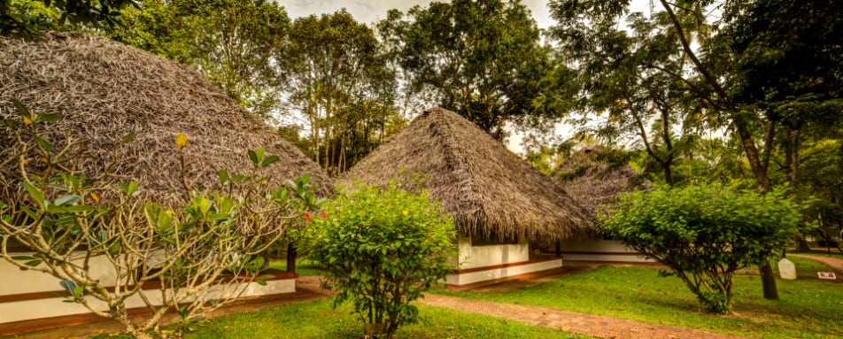 Rooms - Marari Beach 