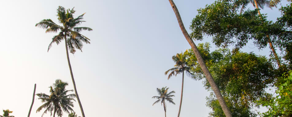 Cycling - Marari Beach 