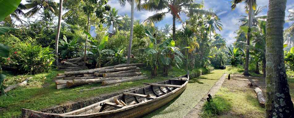 Nature - Philip Kutty's Farm