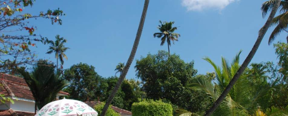 Pool & Deckchairs - Purity