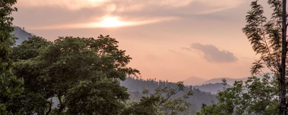 Sunset - Rajakkad Estate