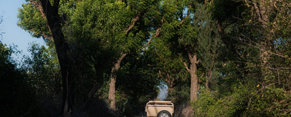 Leopard Safari - Rawla Narlai 