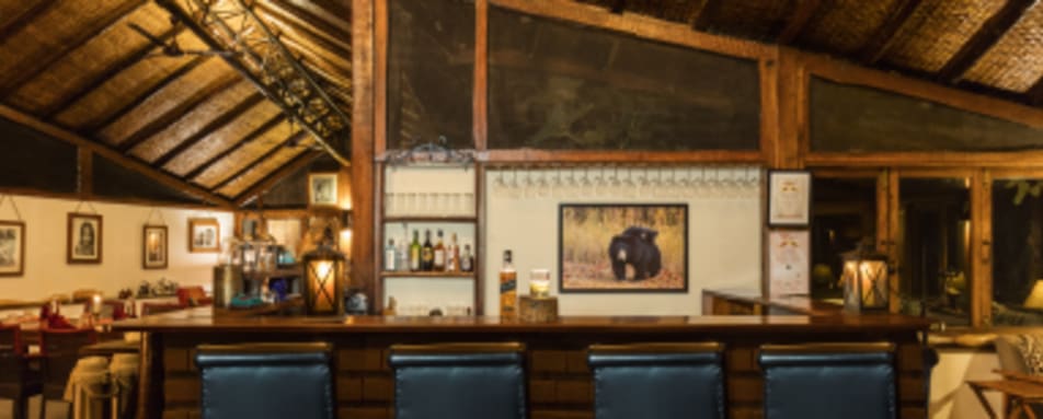 Bar - Reni Pani Jungle Lodge 