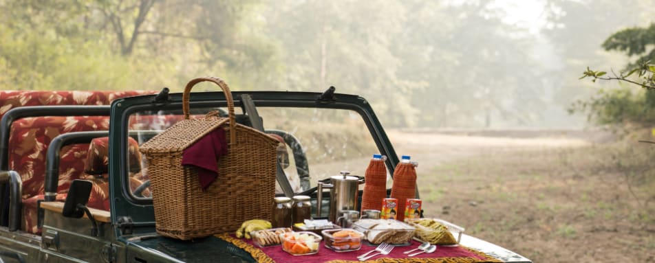 Safari Picnic - Reni Pani Jungle Lodge 