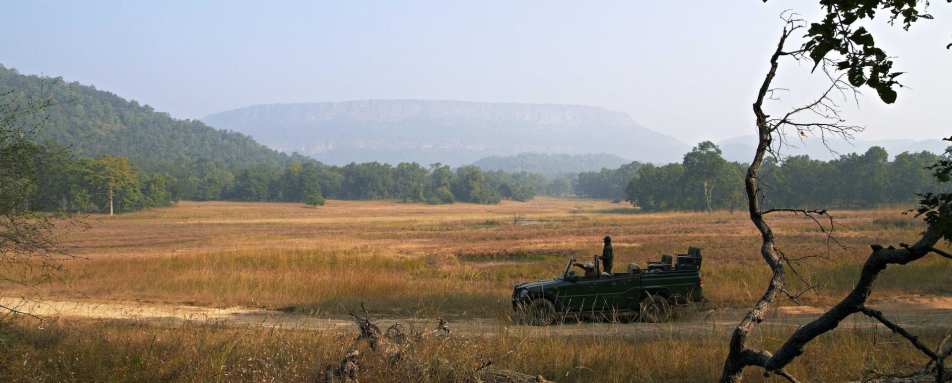 Game Drive - Samode Safari Lodge 