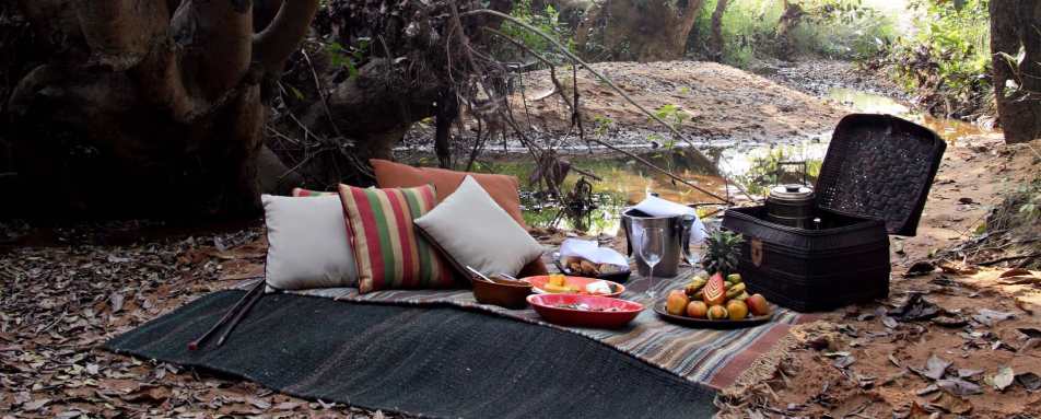 Picnic on safari - Samode Safari Lodge 