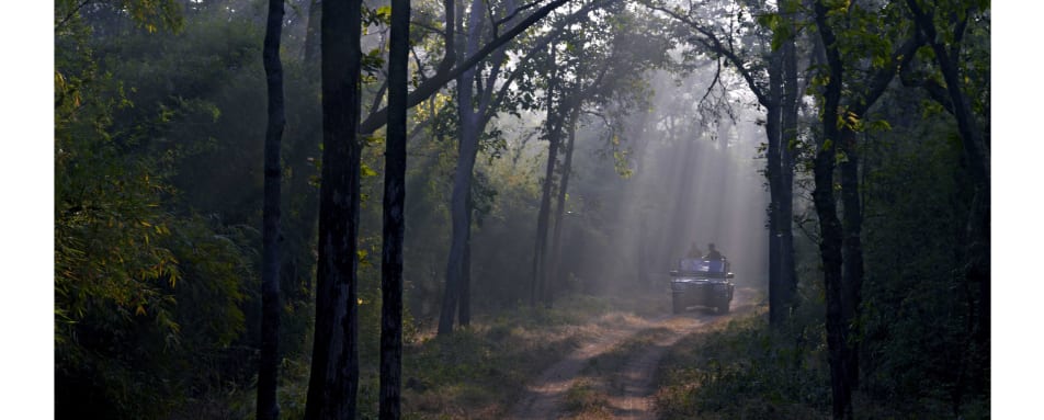 Safari - Samode Safari Lodge  