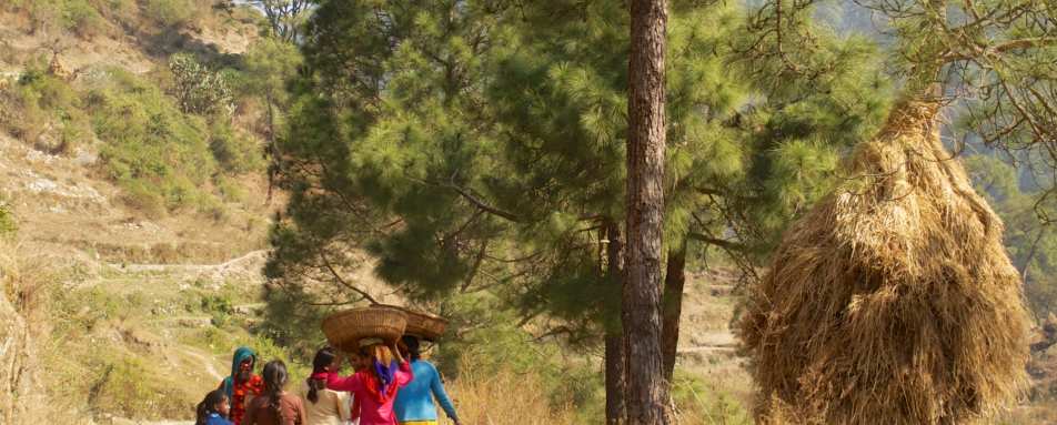 Local life in Kumaon - Shakti Kumaon Village Houses