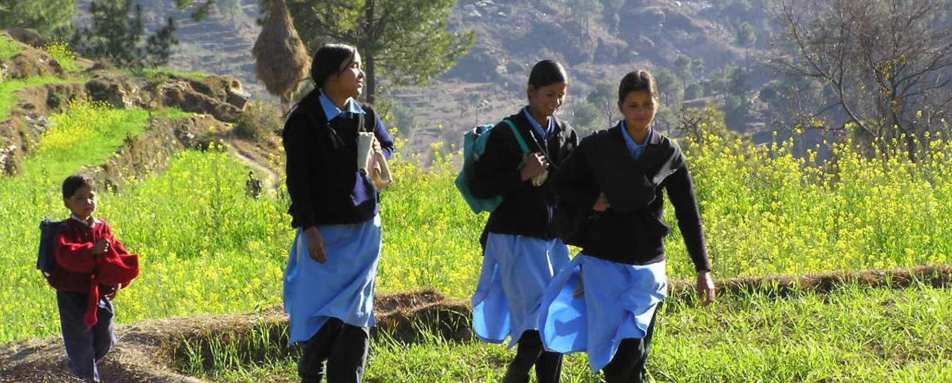 Local Life - Shakti Kumaon Village Houses