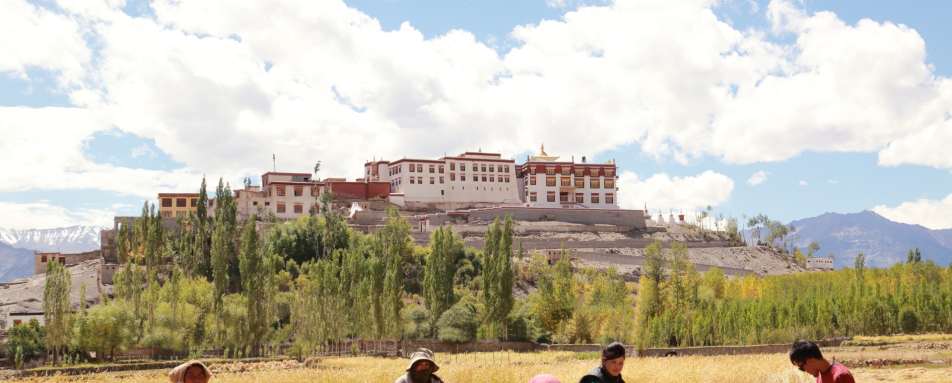 Spring in Ladakh - Shakti Ladakh Village Houses