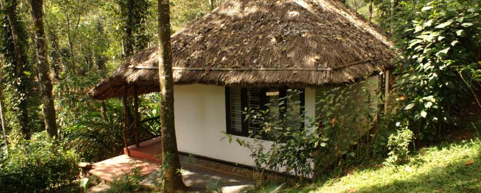 Hut and Forest - Shalimar Spice Garden