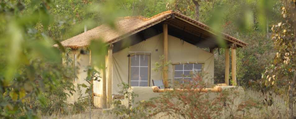 Tent - Shergarh Tented Camp