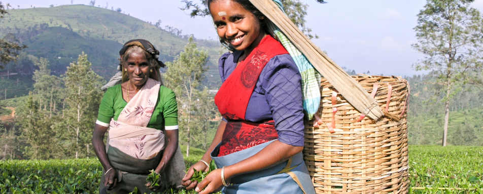 Thekkady - Spice Village