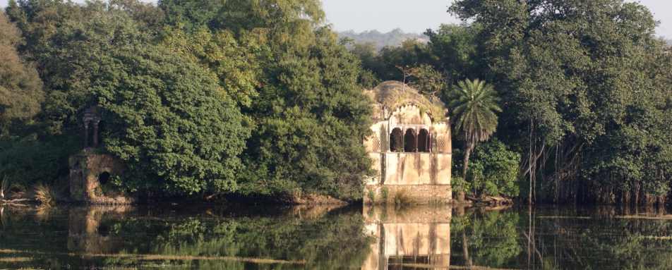 Ranthambore National Park - The Oberoi Vanyavilas