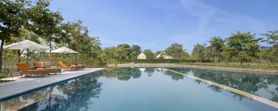 Pool - The Oberoi Vindhyavilas 