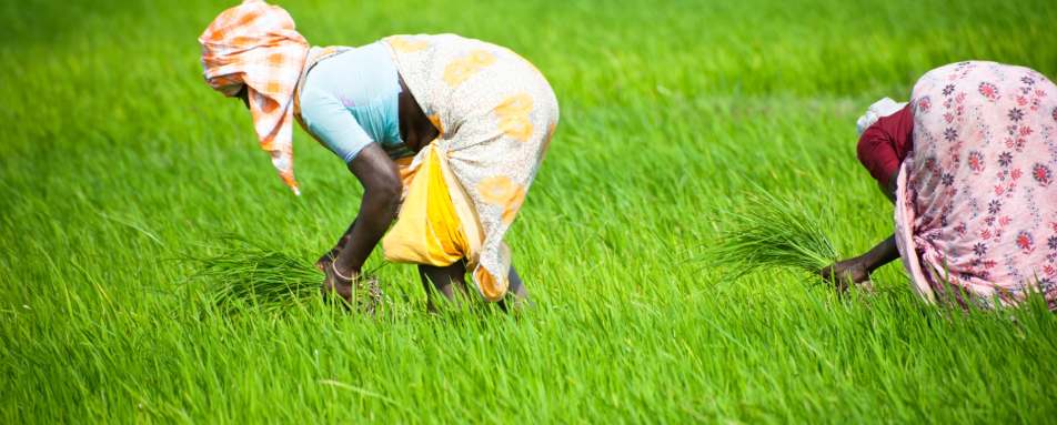 Explore Tamil Nadu - The Trident Chennai