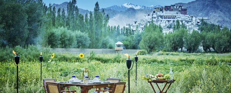 Vegetable Garden - Chamba Camp, Thiksey