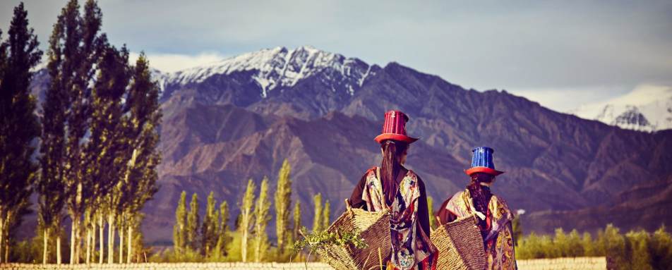 Village Walk - Chamba Camp, Thiksey