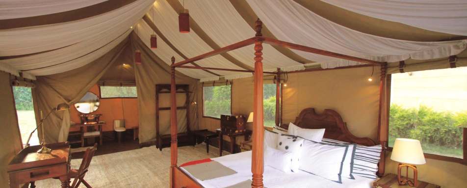 Luxury Tent - Diskit, Nubra Valley