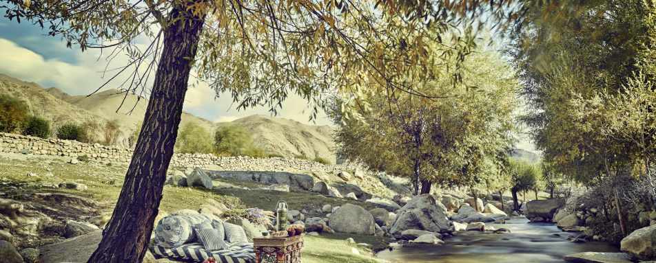 Picnic - Diskit, Nubra Valley