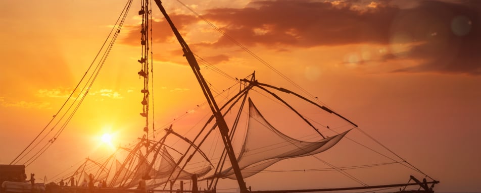 Chinese Fishing Nets  