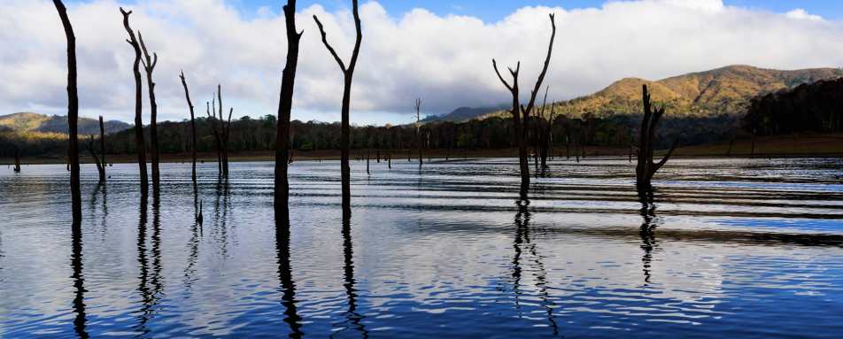 Periyar - Kerala and the Maldives