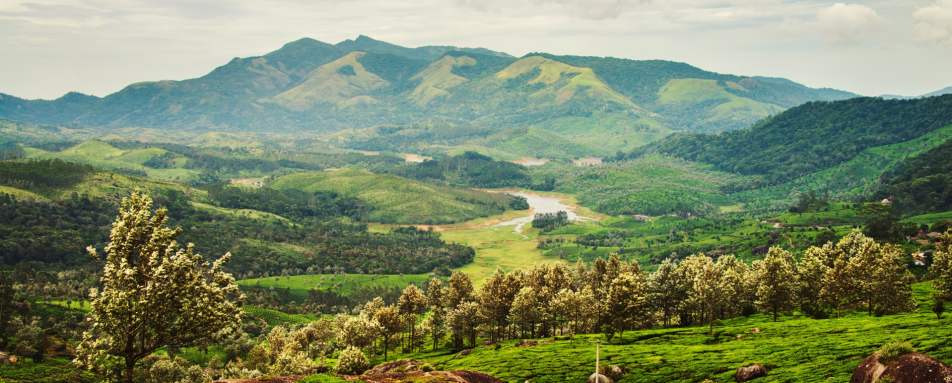 Munnar - Treasures of Cochin & Tamil Nadu