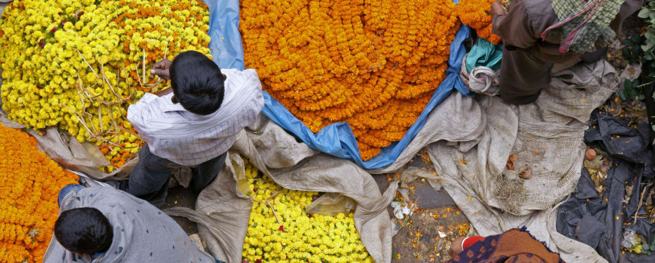Flower Market 