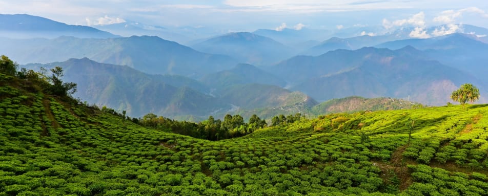Darjeeling 