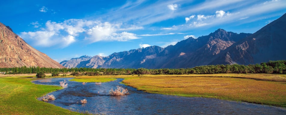 Nubra Valley in Summer 