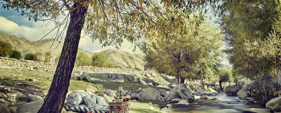 Picnic in Nubhra Valley in Ladakh
