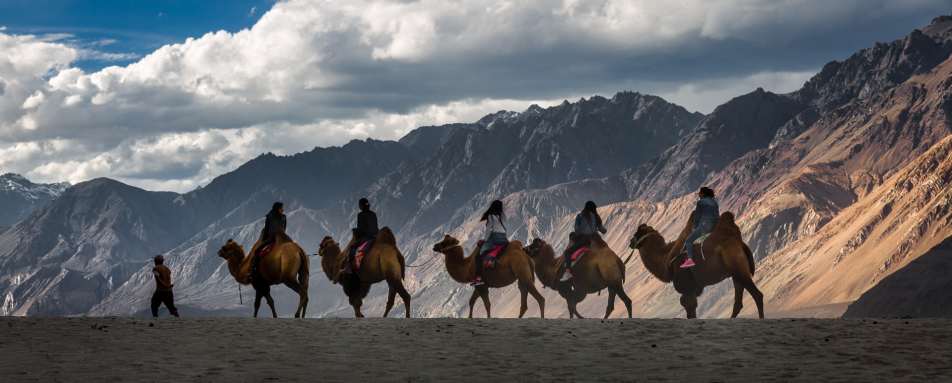 Camel Trek in Nubra Valley