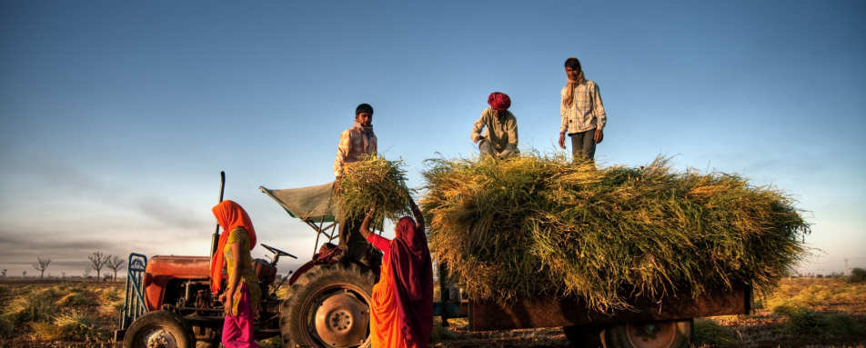 Rural Surrounds of Jaipur