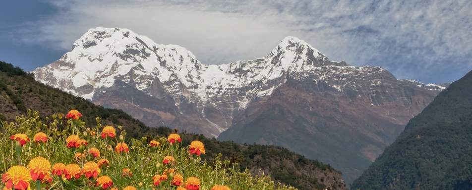 Trekking and walking